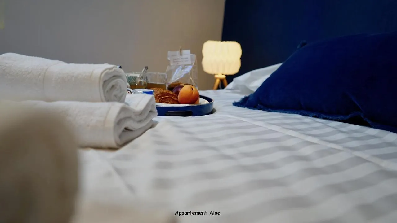 Appartements De Caractere Centre Vannes